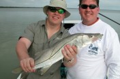Two males snook